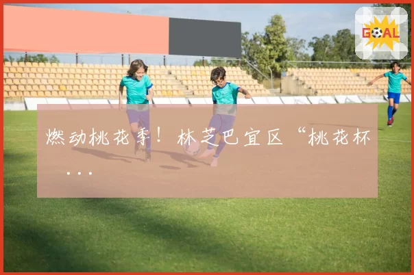 燃动桃花季!林芝巴宜区“桃花杯�...