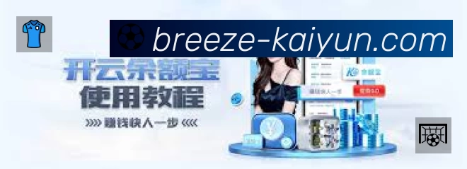 开云App预览